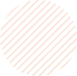 Circle Shape Icon